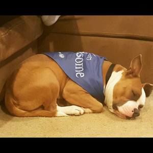 Meet your Posher, Shawn